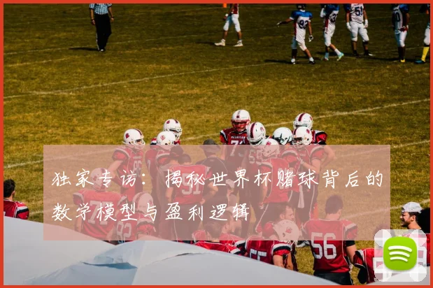 独家专访：揭秘世界杯赌球背后的数学模型与盈利逻辑