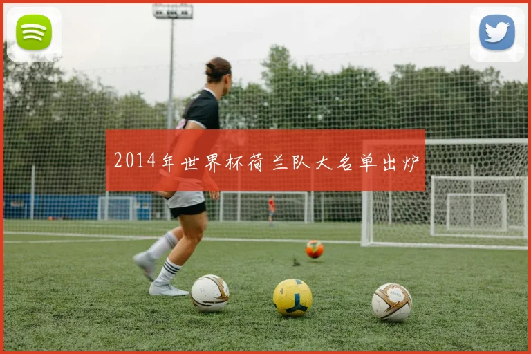 2014年世界杯荷兰队大名单出炉