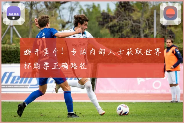避开黄牛！专访内部人士获取世界杯购票正确路径